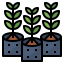 Growth アイコン 64x64