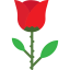 Rose icon 64x64