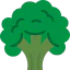 Broccoli icon 64x64