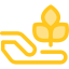 Sprout icon 64x64