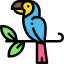 Parrot icon 64x64