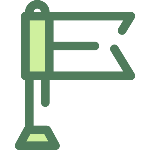 Flag icon