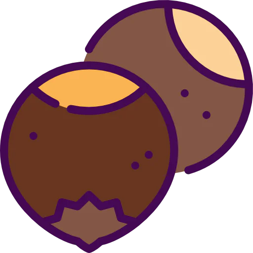 Hazelnuts icon
