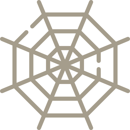 Spider web 图标