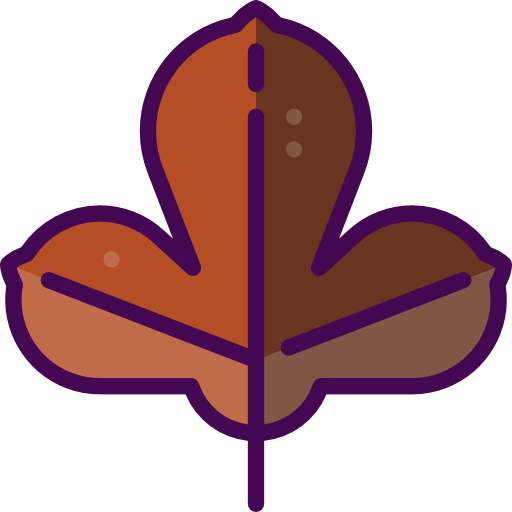 Leaf icon