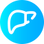 Liver icon 64x64