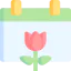 Spring 图标 64x64