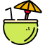 Coconut icon 64x64
