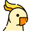Parrot icon 64x64