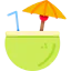 Coconut 图标 64x64