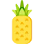 Pineapple 상 64x64