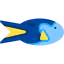 Fish 상 64x64