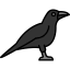 Raven 图标 64x64