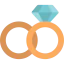 Wedding rings 图标 64x64