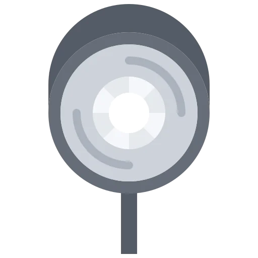 Flash icon