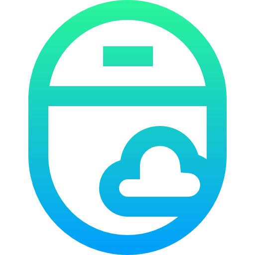 Window icon
