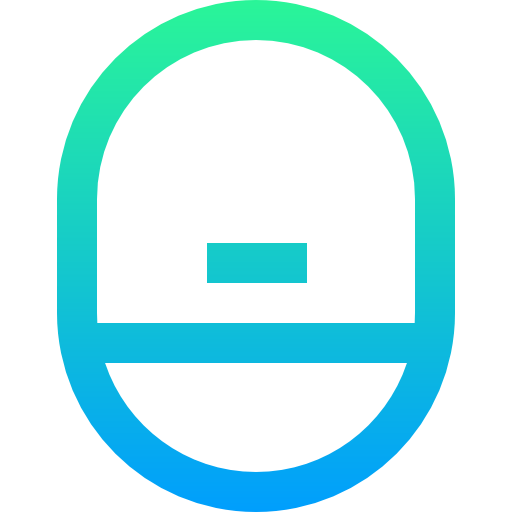 Window icon
