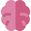 Brain 상 64x64