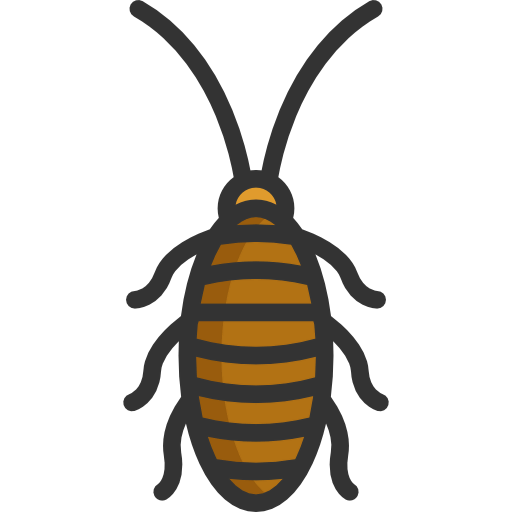 Cockroach icon
