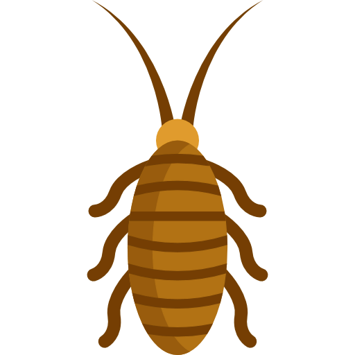 Cockroach icon