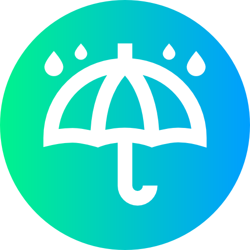 Rain 상