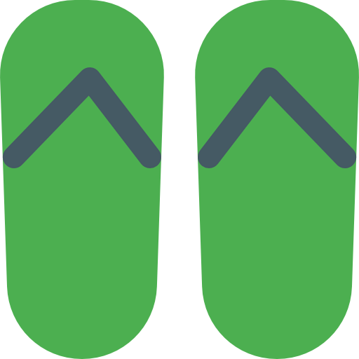 Flip flops icon