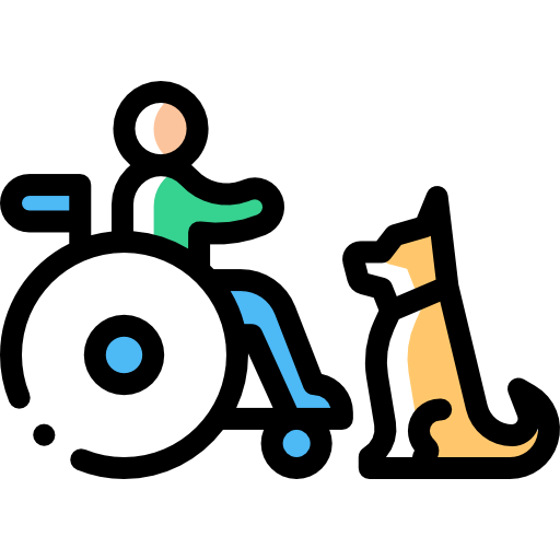 Disabled icon