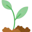Sprout icon 64x64