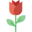 Rose icon 64x64
