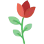 Rose icon 64x64
