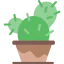Cactus icon 64x64