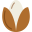 Seed icon 64x64