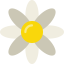 Daisy icon 64x64