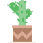 Cactus icon 64x64