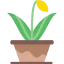 Flower icon 64x64