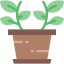 Plant icon 64x64