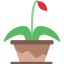 Flower icon 64x64