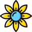 Daisy icon 64x64