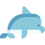 Dolphin icon 64x64