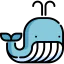 Whale icon 64x64