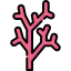 Coral icon 64x64