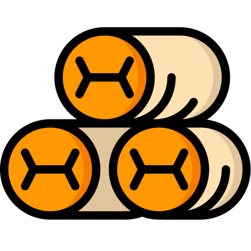 Spring rolls icon