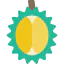 Durian Ikona 64x64