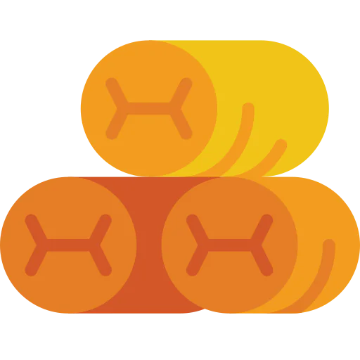 Spring rolls icon