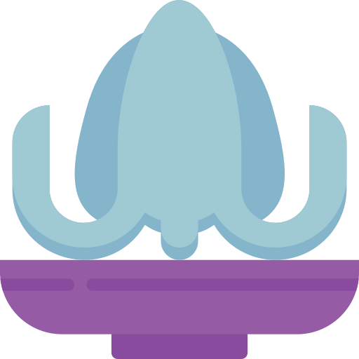 Squid icon