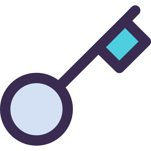Key icon