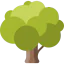 Tree 图标 64x64