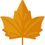 Maple leaf 图标 64x64