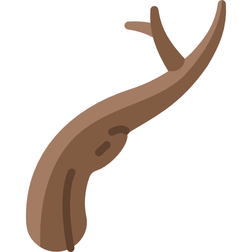 Branch icon