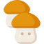 Mushroom 图标 64x64